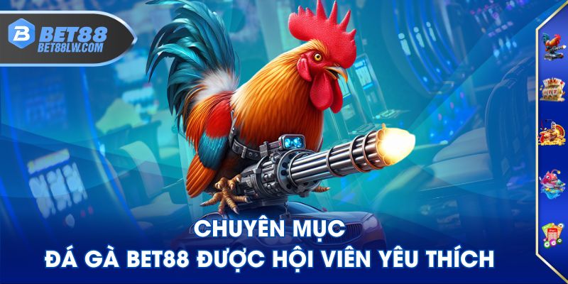 Chuyên mục Đá Gà BET88 được hội viên yêu thích