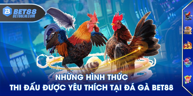 Những hình thức thi đấu được yêu thích tại Đá Gà BET88