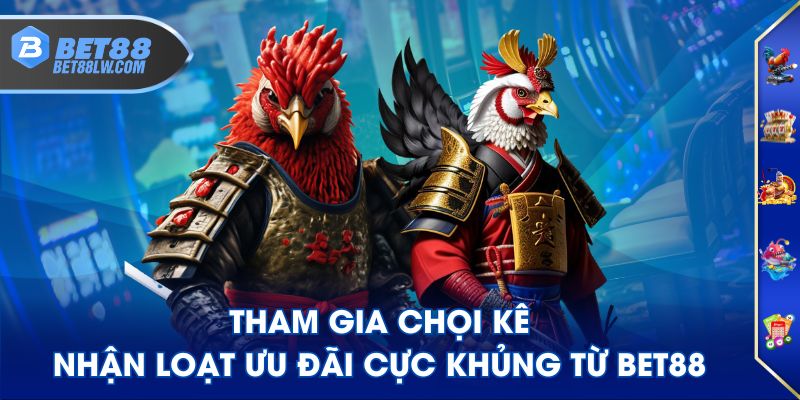Tham gia chọi kê nhận loạt ưu đãi cực khủng từ BET88